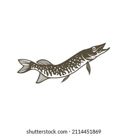 Pike fish silhouette vector illustration. Design for fishing club or team as well as seafood
