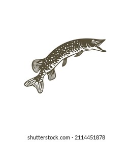 Pike fish silhouette vector illustration. Design for fishing club or team as well as seafood
