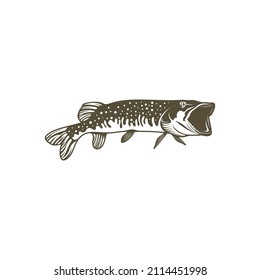 Pike fish silhouette vector illustration. Design for fishing club or team as well as seafood
