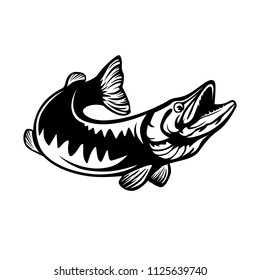 Pike fishing emblem. Pike fish logo vector. Outdoor fishing background theme. Angry fish logo.
