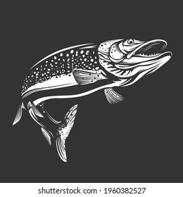 Pike fishing emblem. Pike fish logo vector. Outdoor fishing background theme. Angry fish logo.