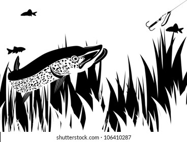 Pike fishing gear chasing. Black and white illustration.