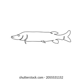 Pike, freshwater fish continuous line drawing. One line art of predatory fish, seafood.