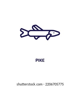 pike icon from animals collection. Thin linear pike, catch, rod outline icon isolated on white background. Line vector pike sign, symbol for web and mobile