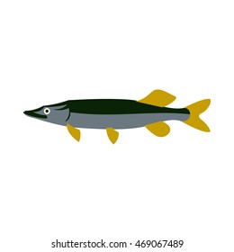 Pike icon in flat style isolated on white background. Sea creatures symbol