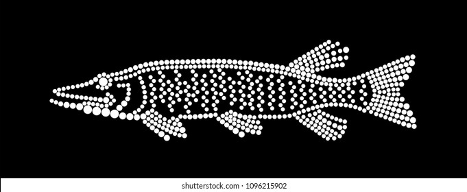 Pike isolated vector