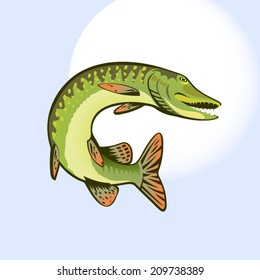 Pike in a jump colorful vector illustration