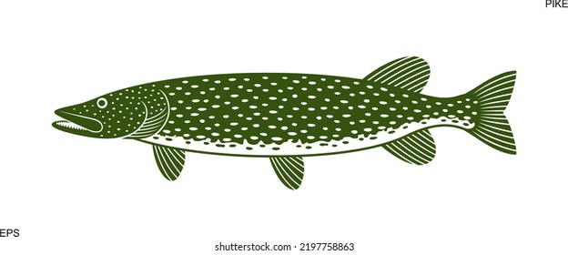 Pike logo. Isolated pike on white background