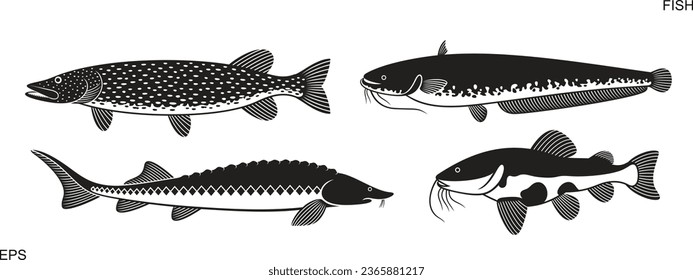 Pike logo. Isolated pike on white background