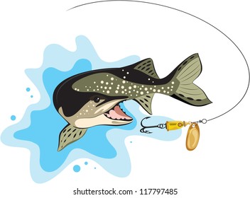 pike and lure fishing, vector illustration