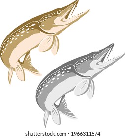 Pike Muskie Fish Vector Design