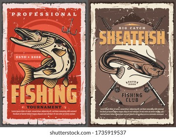 Pike and sheatfish fishing retro posters. Club tournament with luce, catfish fish, fisherman equipment and tackles. Pike fish and fishing hook. Sport competition outdoor activity grunge vector card