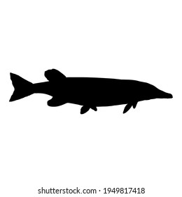 Pike Silhouette Fish Vector Illustration. Side View.