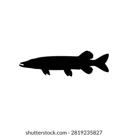 Pike silhouette icon vector flat design.