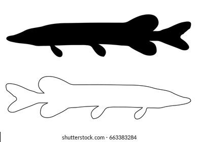 pike silhouette vector, (Esox lucius), 