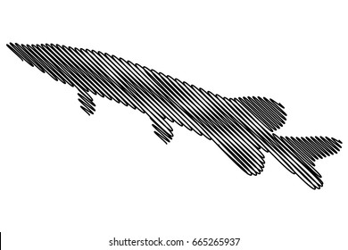 pike silhouette vector, (Esox lucius), 