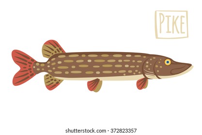 Pike, vector cartoon illustration
