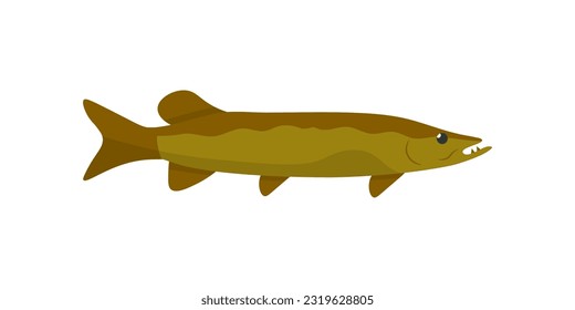 Pike Vektorgrafik. Cartoon einzeln auf Süßwasserfischen Raubfisch, Unterwassertier von nördlichen Flüssen und Seen oder Aquarienwasser, trophischer Fang von Sportfischerei und Angler Hobby, Pike-Emblem