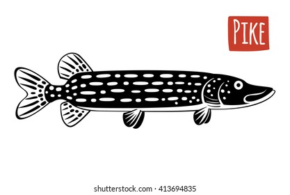 Pike, vector illustration, cartoon style
