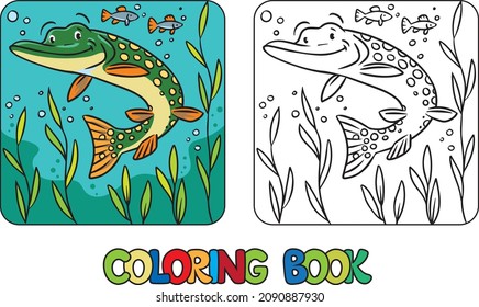 Pike in water coloring book. Kids vector