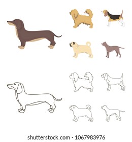Pikinise, dachshund, pug, peggy. Dog breeds set collection icons in cartoon,outline style vector symbol stock illustration web.