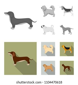 Pikinise, dachshund, pug, peggy. Dog breeds set collection icons in monochrome,flat style vector symbol stock illustration web.