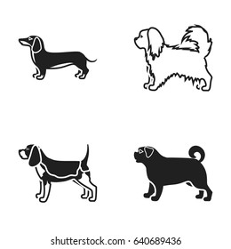 Pikinise, dachshund, pug, peggy. Dog breeds set collection icons in black style vector symbol stock illustration web.