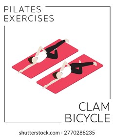 Pilates Clam Bicycle Exercise Isometric Vector
