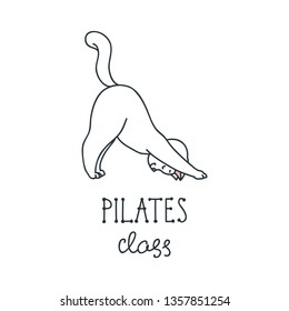 Pilates class. Illustration of cute white cat stretching exercises isolated on white background. Vector 8 EPS.