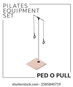 Pilates Equipment Ped O Pull Isometric Set Wood Material Vector