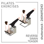 Pilates Exercise Reverse Swan Teaser on the Chair Vector