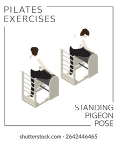 Pilates Exercise Standing Pigeon Pose on the Ladder Barrel Vector