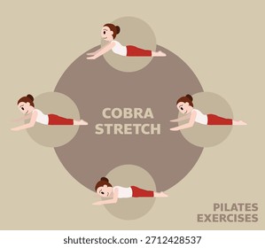 Pilates Mueve Ejercicios Cobra Stretch Linda Ilustración vectorial de dibujos animados
