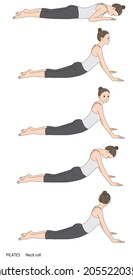 Pilates Sequence, Neck Roll,Vector Illustration