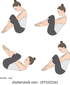 Pilates sequence, vector illustration of seal