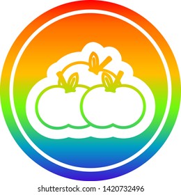 pila de manzanas icono circular con acabado de gradiente arco iris