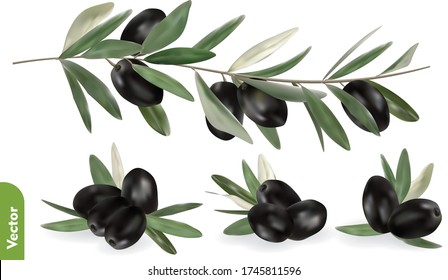 Pile of black olives with leaves, olive branch on isolated background. 3d realistic vector illustration set of food.