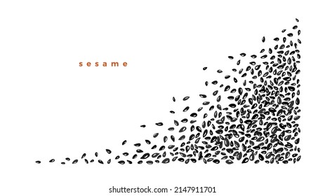 Pile von schwarzem Sesam, Cumin Samen. Vektorgrafik-Grenze auf weißem Hintergrund. Veganwürz mit Kalzium