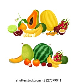 Pile of Bright and Juicy Tropical Fruit with Papaya and Watermelon Vector Set