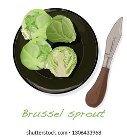 A pile of Brussels sprouts on the dish vector illustration. White background.