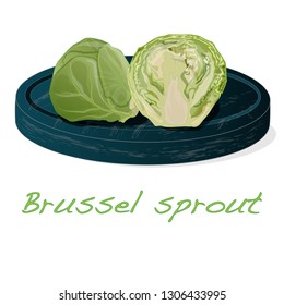 A pile of Brussels sprouts on the dish vector illustration. White background.