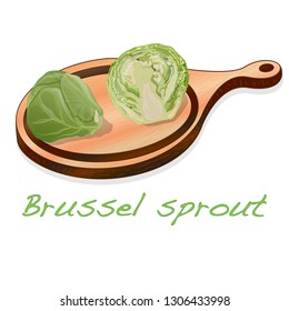 A pile of Brussels sprouts on the dish vector illustration. White background.