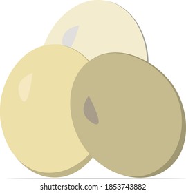 A pile of chicken egg