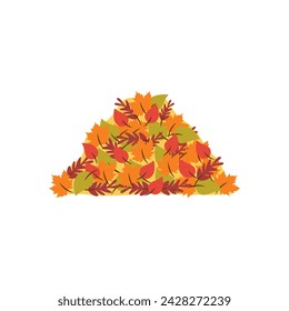 Pile of colorful autumn leaves. Heap of leaves. Fall. Yellow, red, orange brouns maple, oak leaves. White background,