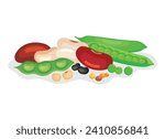 Pile of different dried beans and legumes vector illustration. Heap of beans and legumes icon vector isolated on a white background. Green pea, lentil, soybean, kidney bean drawing