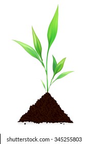 Pile Of Dirt And Growing Plant - Isolated On White Background. Vector Illustration.