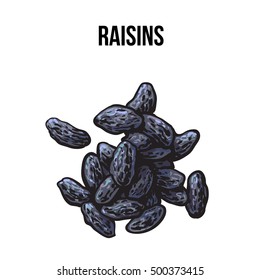 Pile of dried black raisins, sketch style vector illustration isolated on white background. Drawing of black raisins, natural sweets, vegetarian snack