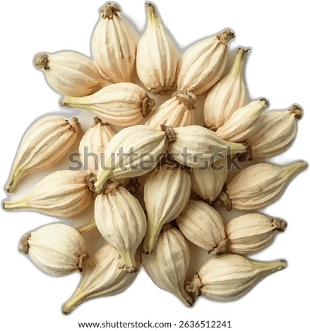 A pile of dried cardamom pods, light beige in color, are clustered together, showcasing their individual ribbed textures and slightly pointed ends.