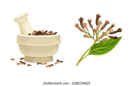 Pile of Dried Clove Aromatic Spice in Mortar with Pestle and Twig Vector Set