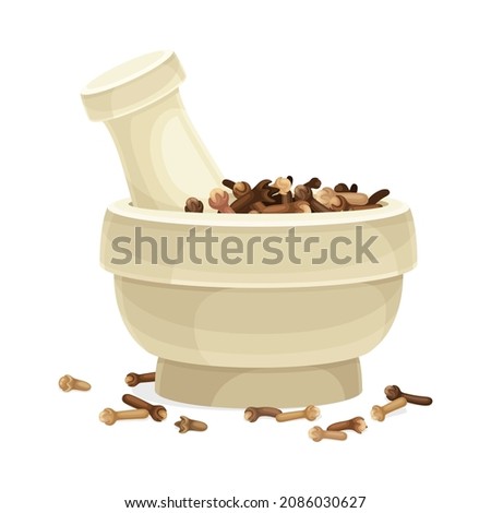 Pile of Dried Clove Aromatic Spice Rested in Mortar with Pestle Vector Illustration